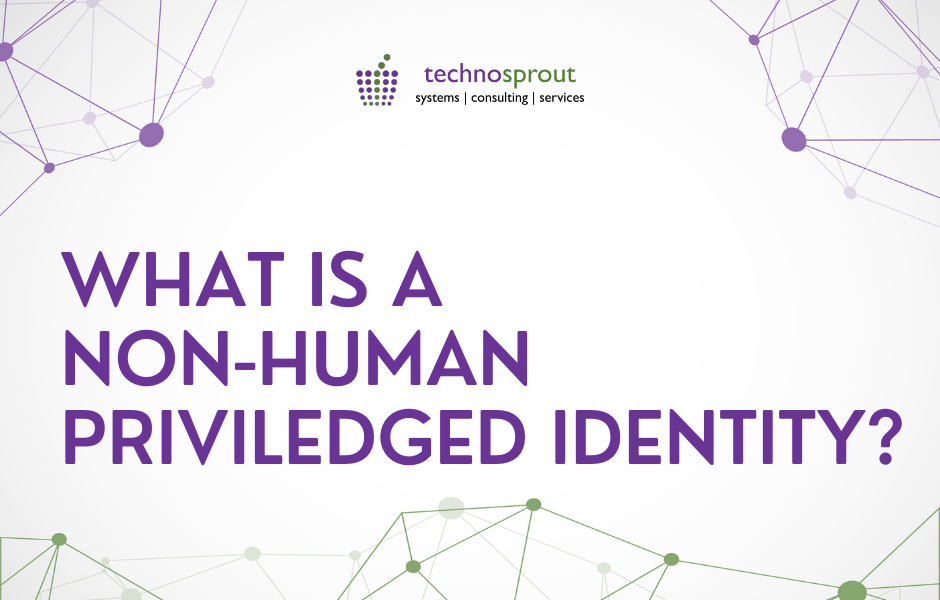 What is a non human privileged identity | Identity Security Blogs